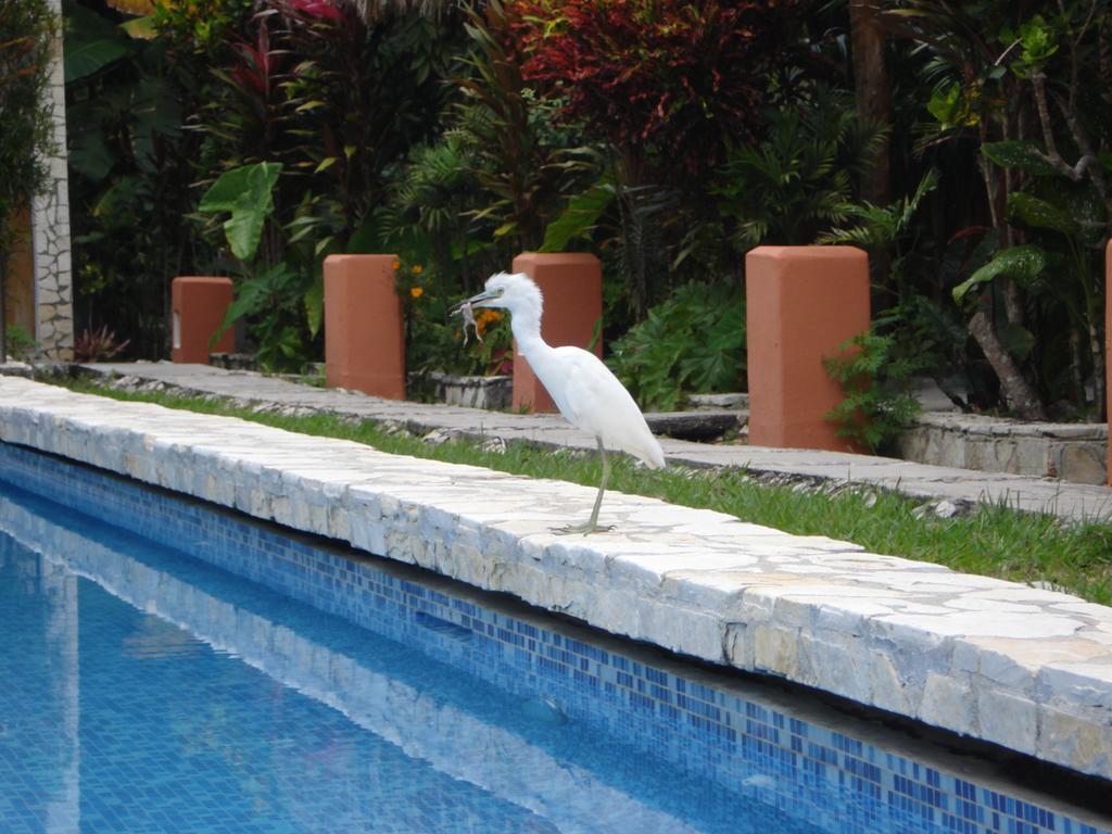 Hotel Jaguar Inn Tikal Luaran gambar
