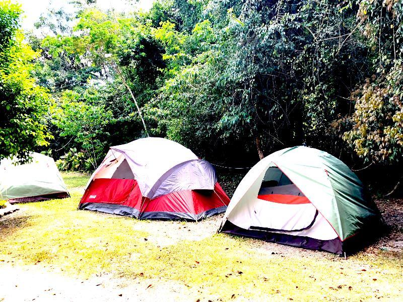 Hotel Jaguar Inn Tikal Luaran gambar
